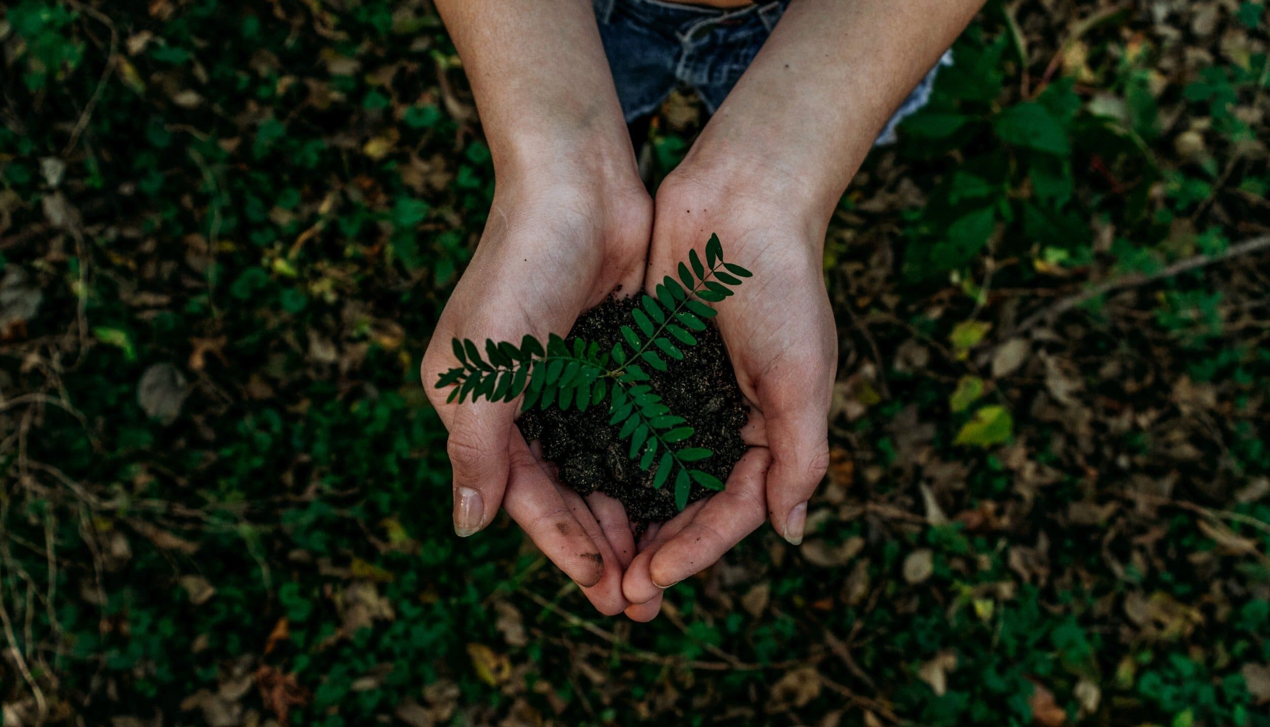 Reduce Waste