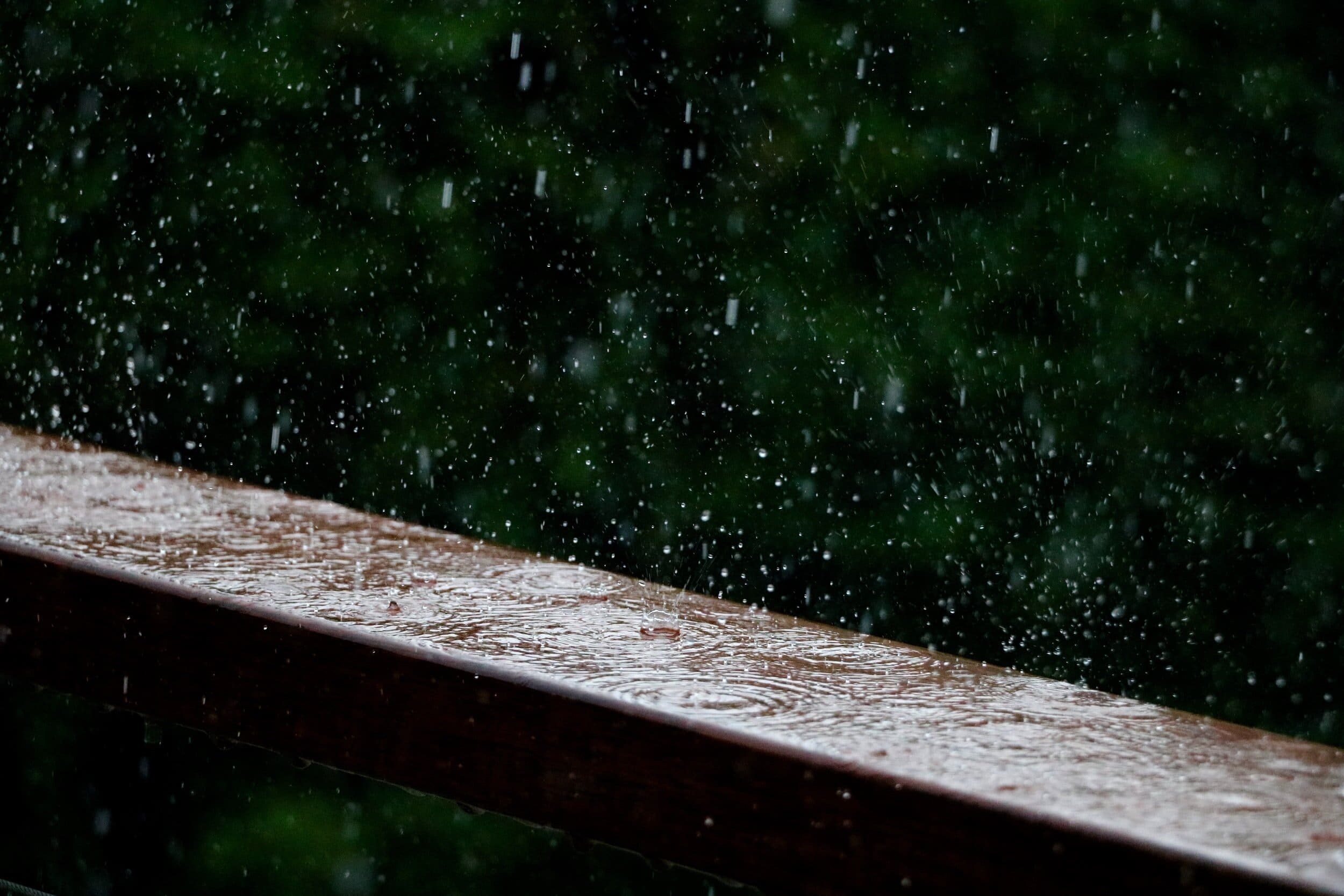 Rain Barrel