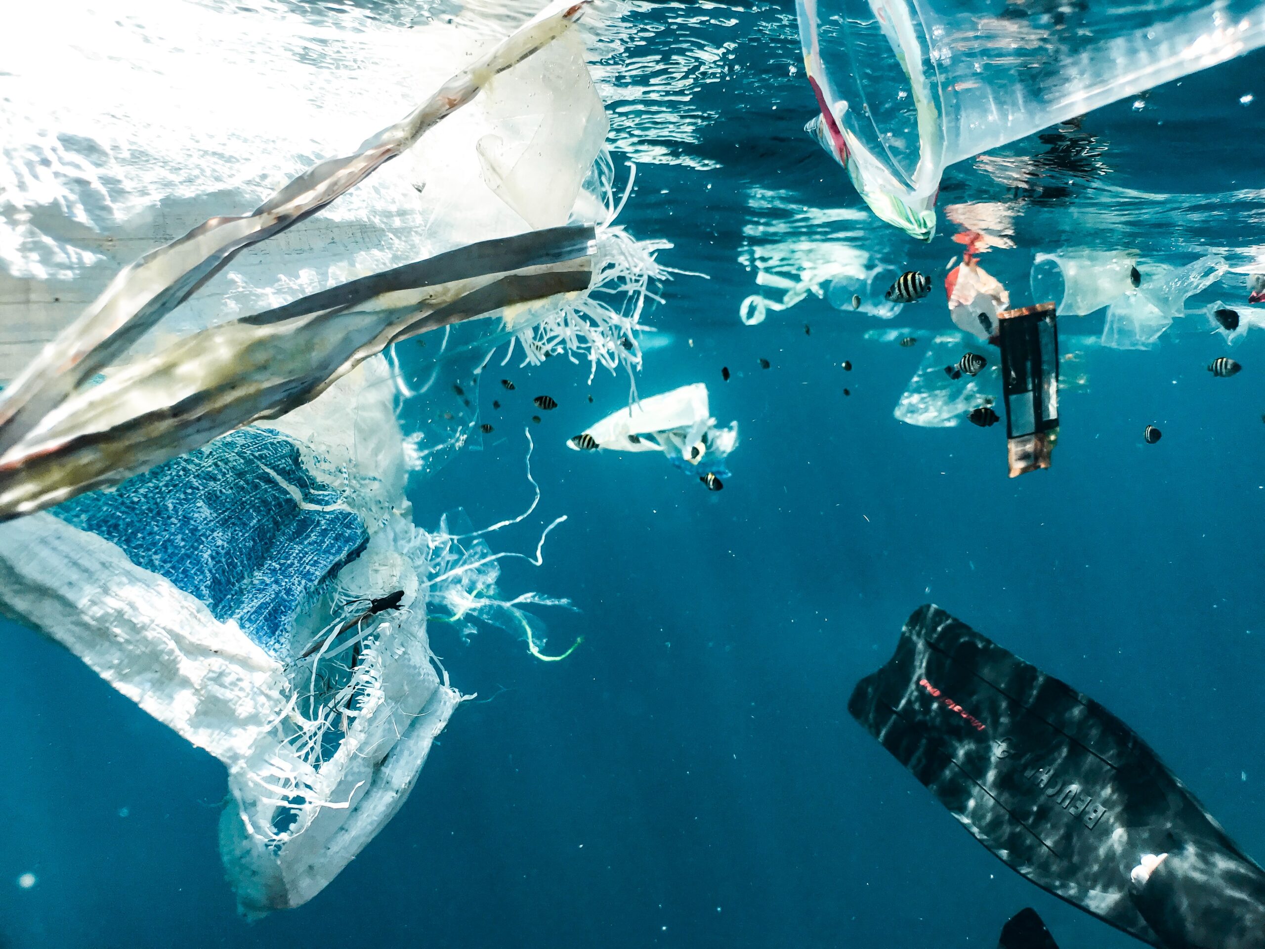 Plastic Free July