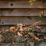 Biodegradable vs Compostable