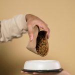 Organic Dog Food